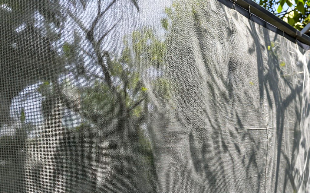 Nahaufnahme einer Insektenschutz-Lichtschachtabdeckung bei Tag mit sichtbarem Lichteinfall